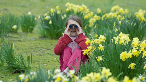 Girl sitting among daffodils looking through binoculars at the camera